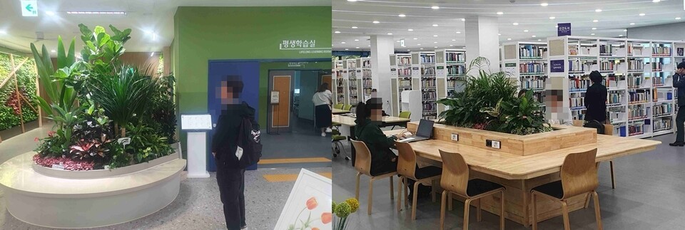 인천광역시교육청주안도서관, '생활밀착형 숲' 관내 실내 정원 조성, 사진/인천시교육청 제공