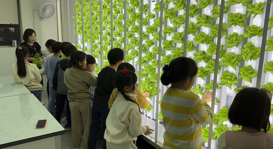 인천광역시교육청주안도서관, 실내농장 체험형 스마트팜 구축, 사진/인천시교육청 제공