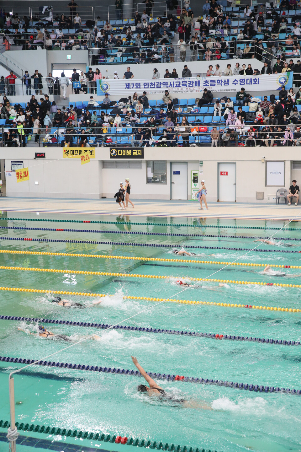 인천광역시교육청, 제7회 교육감배 초등학생 수영대회 개최, 사진/인천시교육청 제공