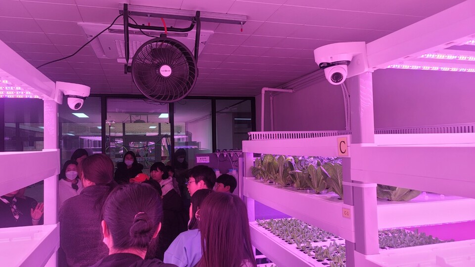 인천서부교육지원청, 2023 서부 에코스마트팜 활용 체험 교육 성료, 사진/인천시교육청 제공