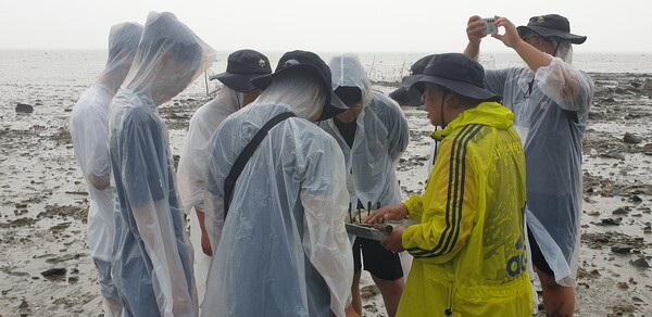 갯벌 생태계 보전을 위한 생물다양성 탐사 활동 모습, 사진/인천강화교육지원청 제공