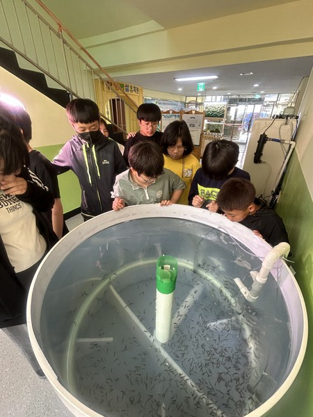 '치어 입식 및 사육수조 점등식' 행사를 진행 중이다, 사진 / 인천남부교육지원청 제공