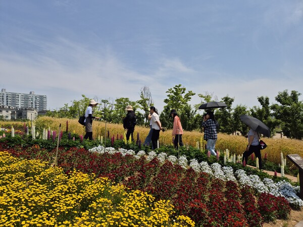 ‘하반기 도시농업 현장체험 프로그램’을 운영 중이다, 사진 / 인천광역시 농업기술센터 제공