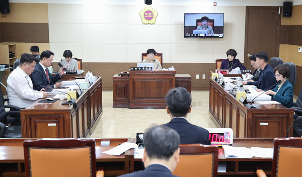 '제304회 임시회'를 진행 중이다, 사진 / 인천광역시의회 행정안전위원회 제공