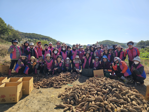 '사랑의 고구마 수확 및 나눔 행사'를 마치고 기념 사진을 촬영 중이다, 사진 / 인천광역시 농업기술센터 제공