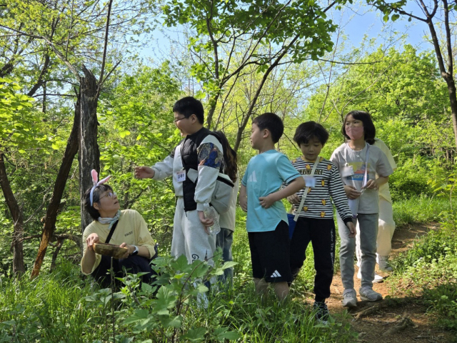 극화를 바탕으로 숲을 탐색하는 아이들, 사진 / 서울시종로구환경교육센터 제공